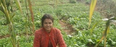 Saraswati Giri in her kitchen garden